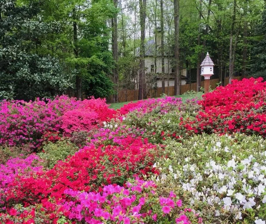 740 Weatherly Lane, Sandy Springs, Georgia 30328, 4 Bedrooms Bedrooms, ,3 BathroomsBathrooms,Residential,Sold,740 Weatherly Lane,7275458