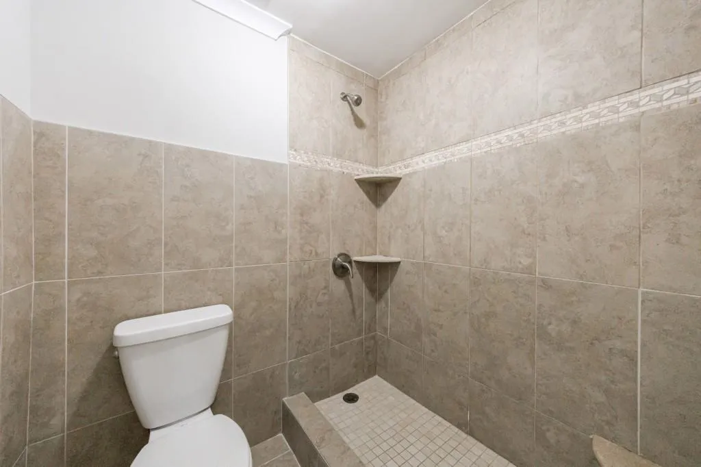 Primary bath with large step in shower