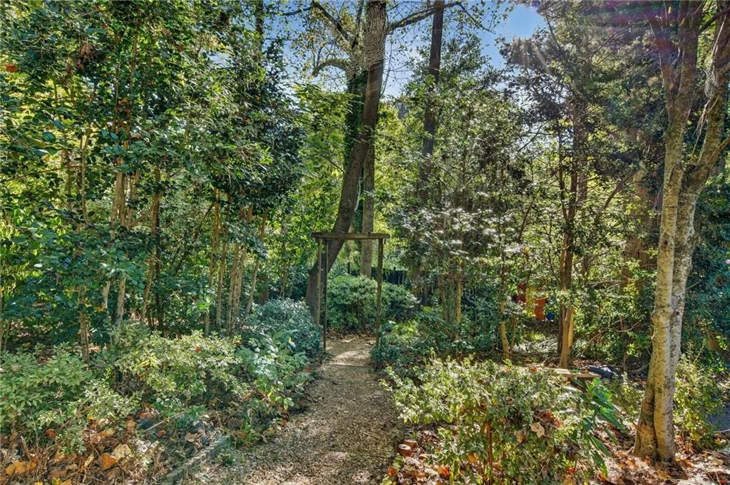 View of tree filled area