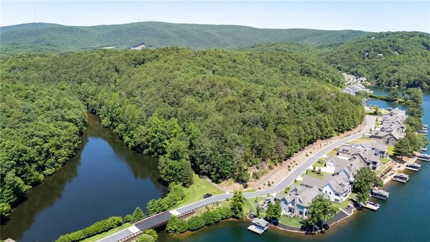 Waterfront homes with private boat docks along a paved roadway