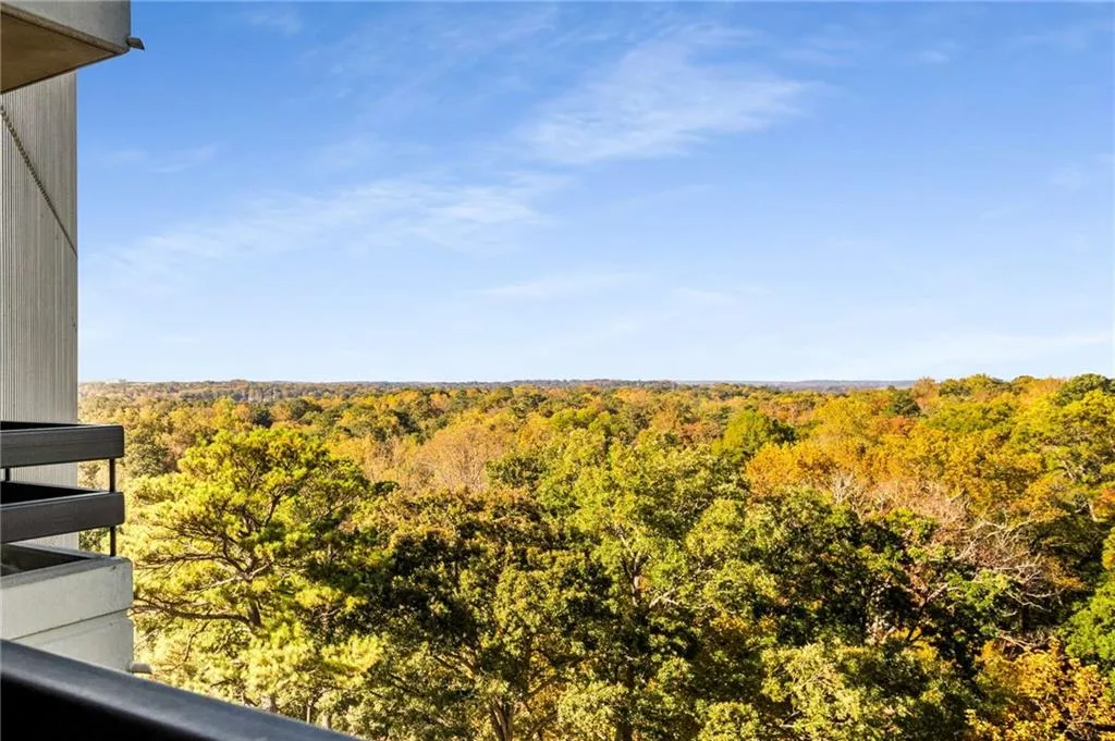 2660 Peachtree Road Nw Unit 14b, Atlanta, Georgia 30305, 1 Bedroom Bedrooms, 0 ,2 BathroomsBathrooms,Residential,For Sale,2660 Peachtree Road Nw Unit 14b,7737130