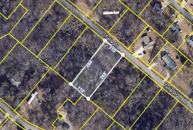 1828 Tulip Drive, Gainesville, Georgia 30507