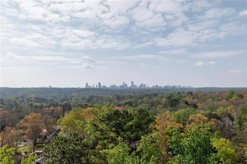 Birds eye drone view of downtown!
