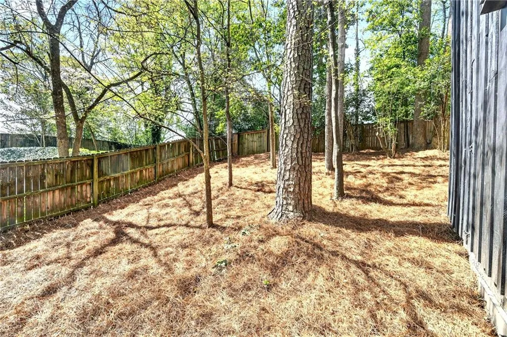 Side yard