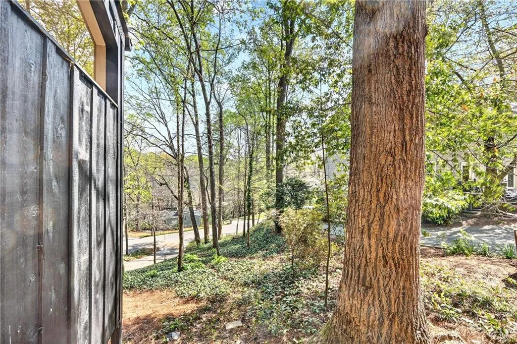 Side yard looking towards street