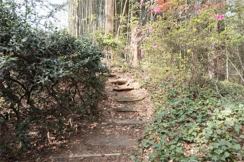 steps to backyard