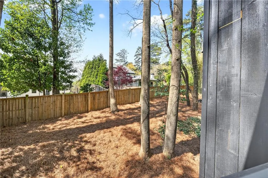 View of backyard