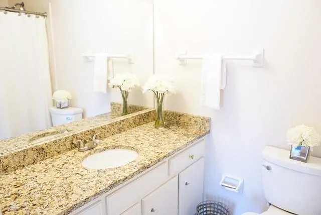 335 Towergate Place, Sandy Springs, Georgia 30350, 2 Bedrooms Bedrooms, ,2 BathroomsBathrooms,Residential,Sold,335 Towergate Place,6853383