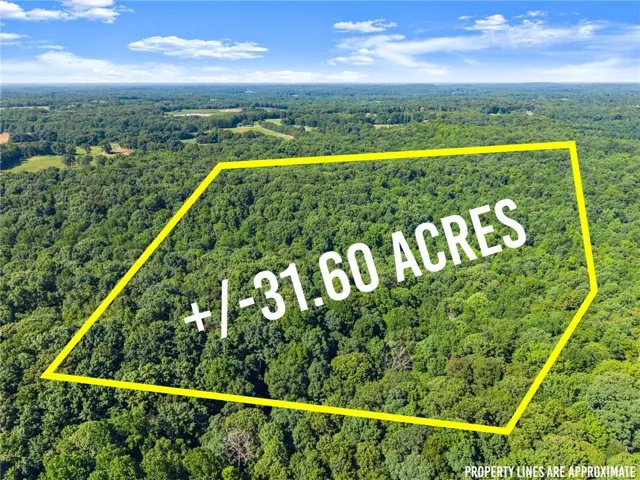 0 Prospect Road, Carnesville, Georgia 30521