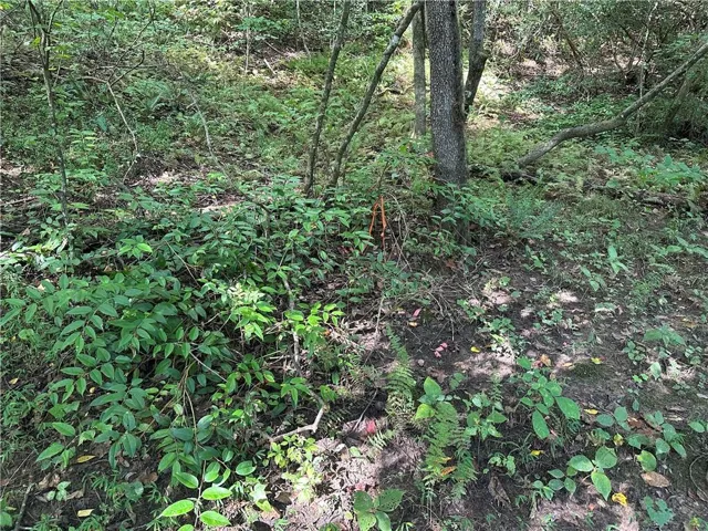 Lot 5 Riverview Dr. ending property line