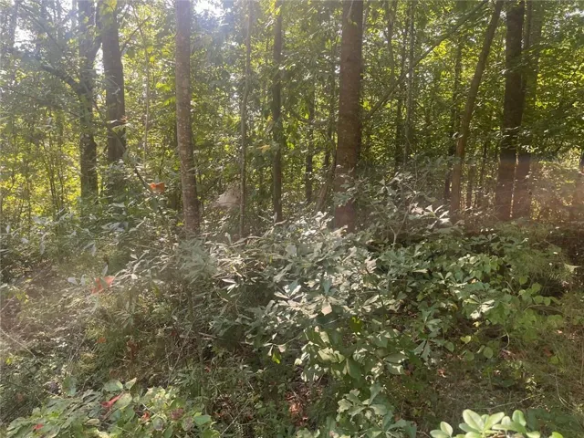 161 Apache Trail, Martin, Georgia 30557