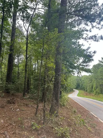 View of asphalt road with a forest view