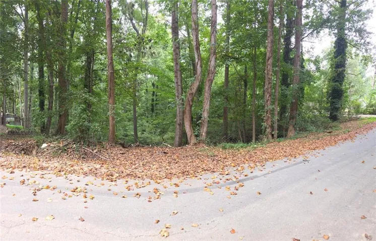 3828 Lance Drive, Flowery Branch, Georgia 30542