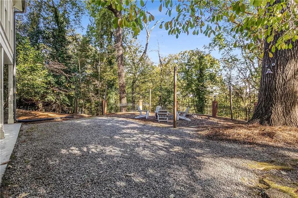 Expansive flat backyard space that's currently natural but could easily accommodate sod or turf!