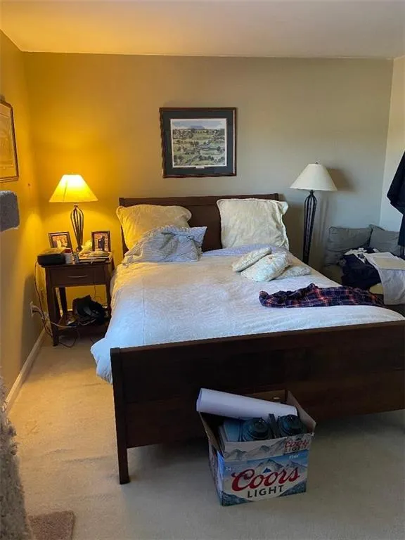 Bedroom with carpet floors