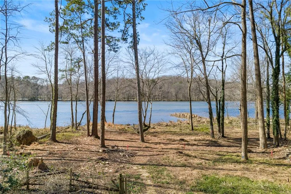 View from the back yard