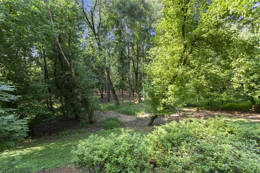 4629 High Point Road Ne, Sandy Springs, Georgia 30342, 5 Bedrooms Bedrooms, ,4 BathroomsBathrooms,Residential,Sold,4629 High Point Road Ne,6923960