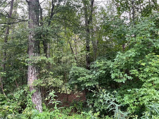 119 Kirk Road Nw, White, Georgia 30184