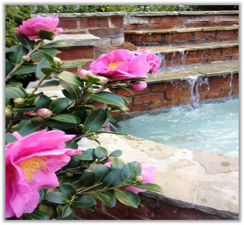 A courtyard Fountain