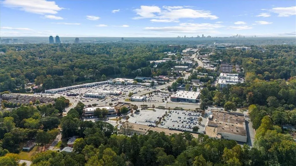 Bird's eye view of a tree filled landscape
