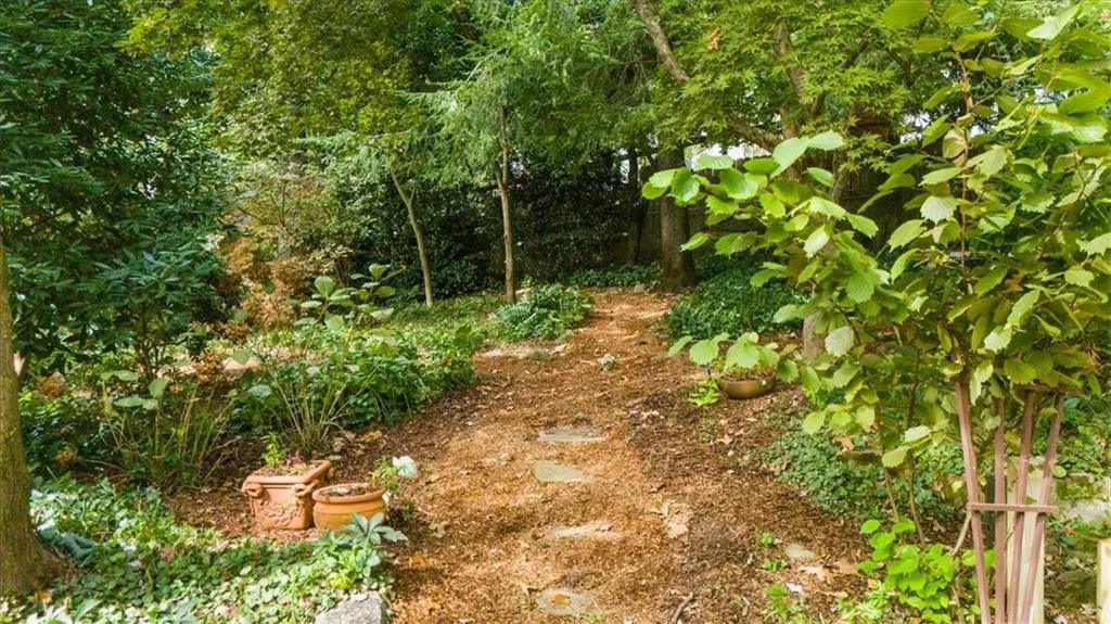 View of nature