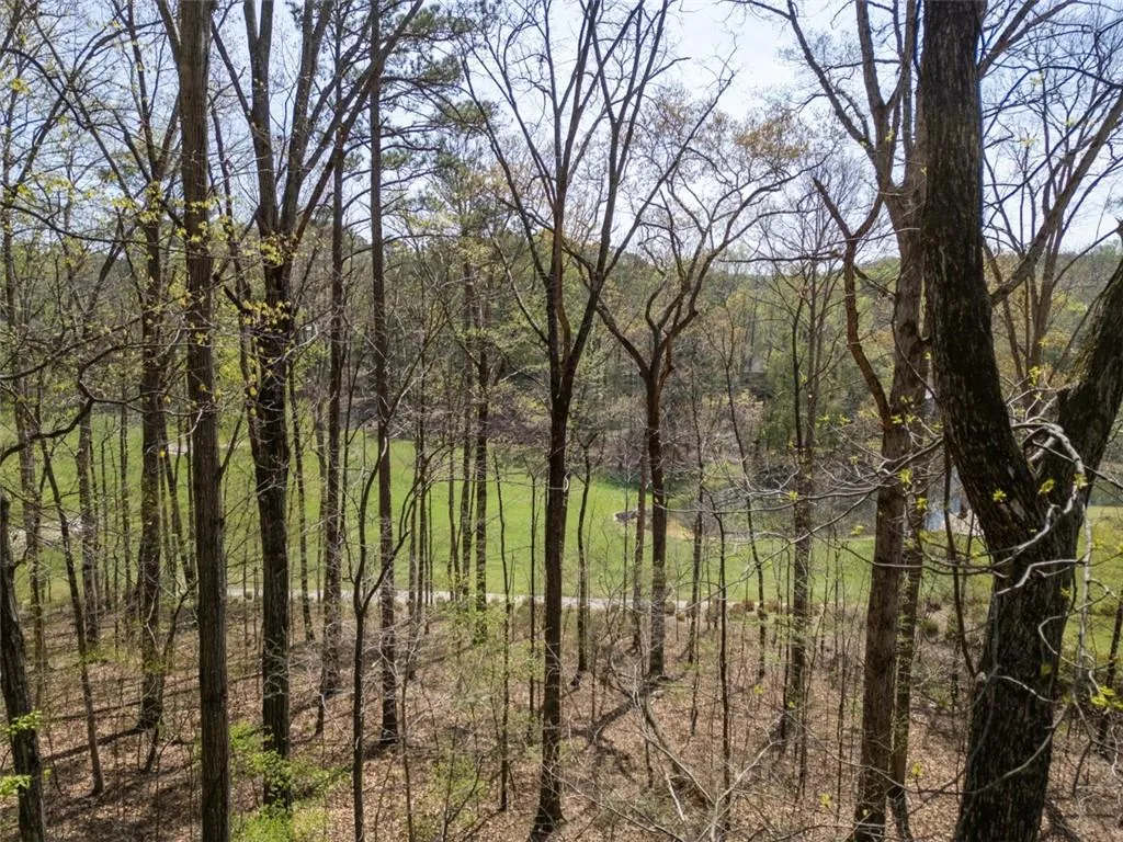 Gorgeous golf course view