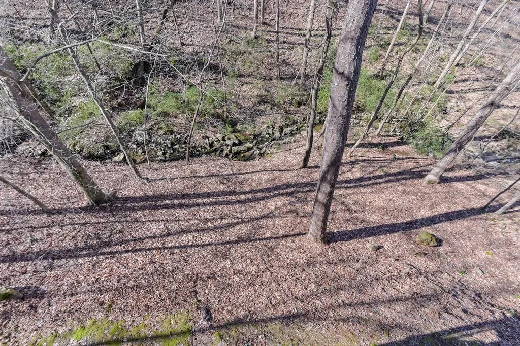 710 Trowgate Court, Sandy Springs, Georgia 30350, 5 Bedrooms Bedrooms, ,4 BathroomsBathrooms,Residential,Sold,710 Trowgate Court,6515042