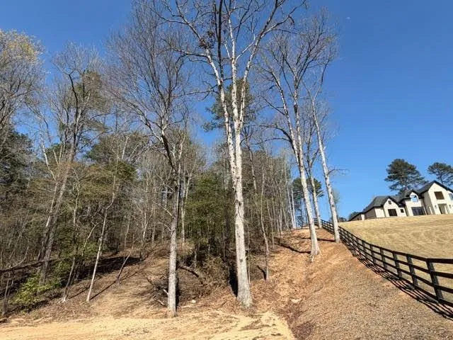 Lot 0 Jack Pittman Road, Dacula, Georgia 30019
