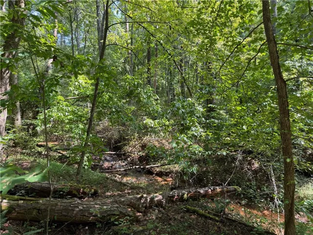 Wooded terrain featuring mature trees and natural ground cover