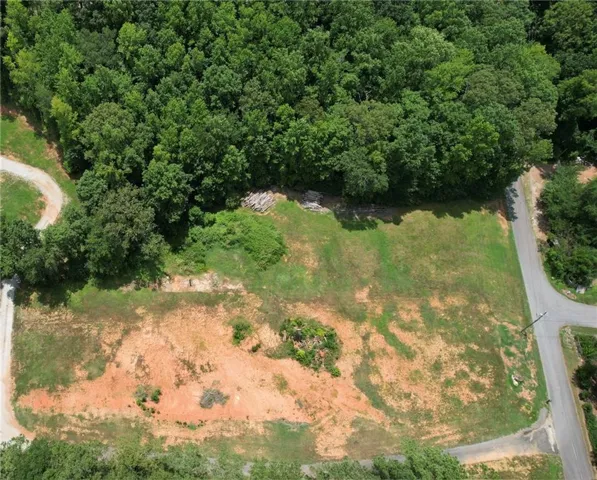 Expansive lot featuring a natural tree line, partial clearing, and road frontage