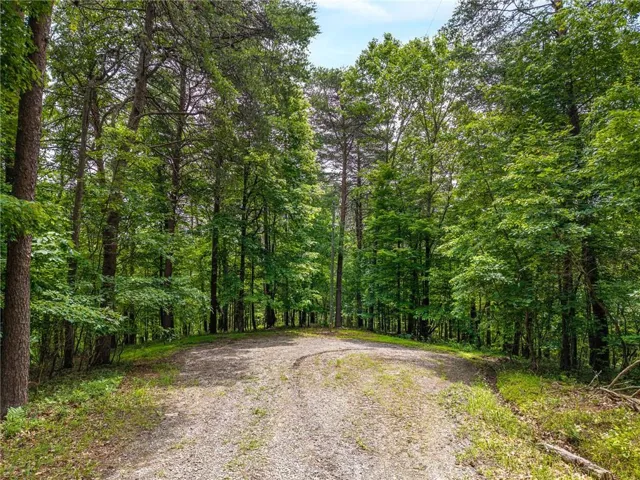 1331 Birch Lane Ne, Ranger, Georgia 30734