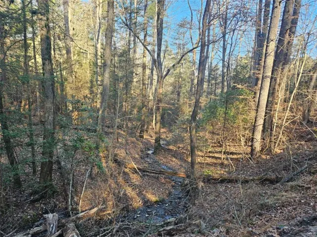 Lt 162 Nexus Drive, Ellijay, Georgia 30540