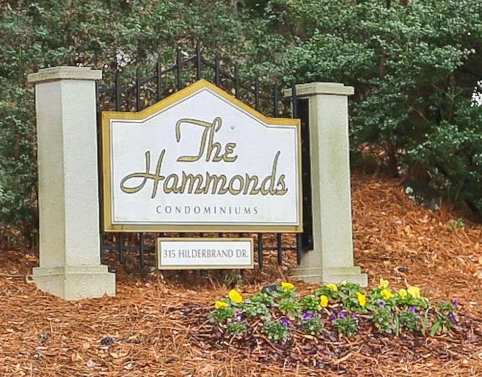 315 Hilderbrand Drive Unit A2, Sandy Springs, Georgia 30328, 2 Bedrooms Bedrooms, ,1 BathroomBathrooms,Residential,Sold,315 Hilderbrand Drive Unit A2,5707024