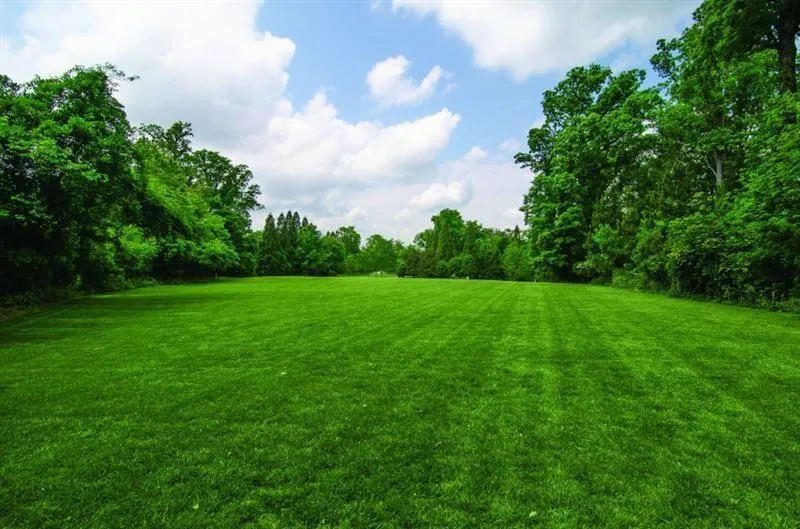 2100 West Wesley Road, Atlanta, Georgia 30327, 3 Bedrooms Bedrooms, ,3 BathroomsBathrooms,Residential,For Sale,2100 West Wesley Road,7680965