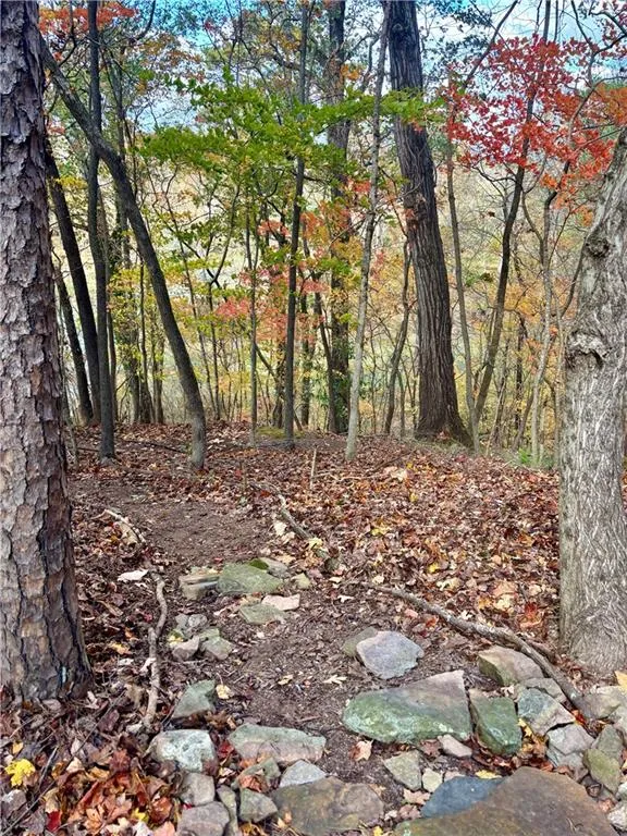 Private trailhead off back patio