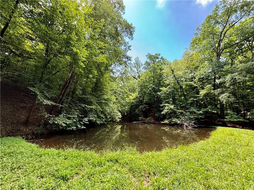 Summer view of lower pond off trail