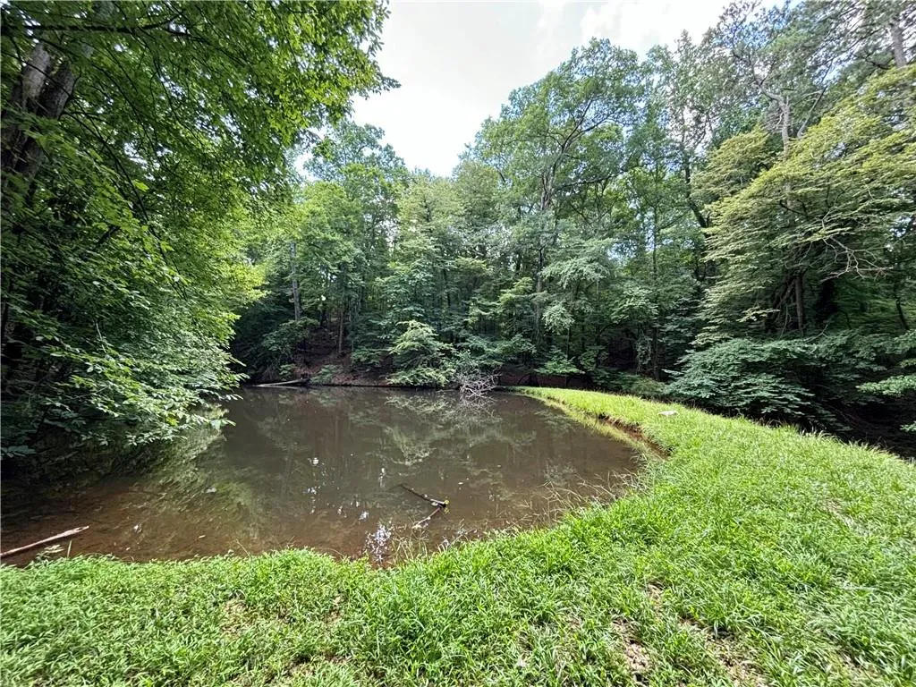 Lower pond