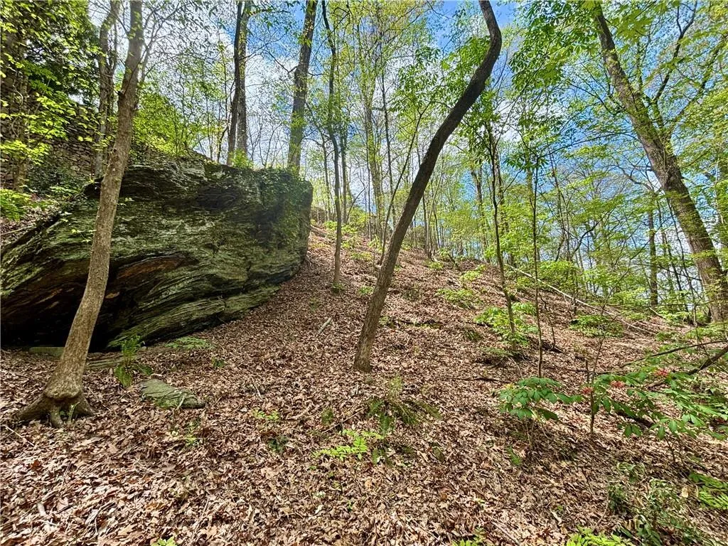 2100 West Wesley Road, Atlanta, Georgia 30327, 3 Bedrooms Bedrooms, 0 ,3 BathroomsBathrooms,Residential,For Sale,2100 West Wesley Road,7680965