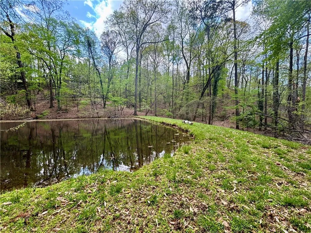 Trail leads to house through trees at right side