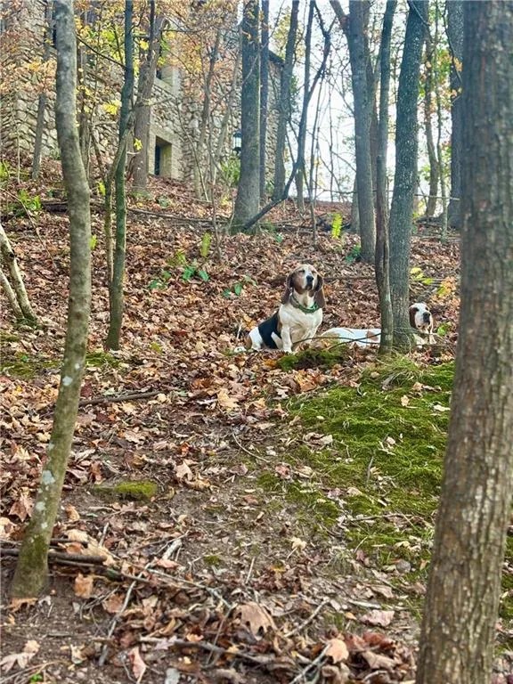 2100 West Wesley Road, Atlanta, Georgia 30327, 3 Bedrooms Bedrooms, 0 ,3 BathroomsBathrooms,Residential,For Sale,2100 West Wesley Road,7680965