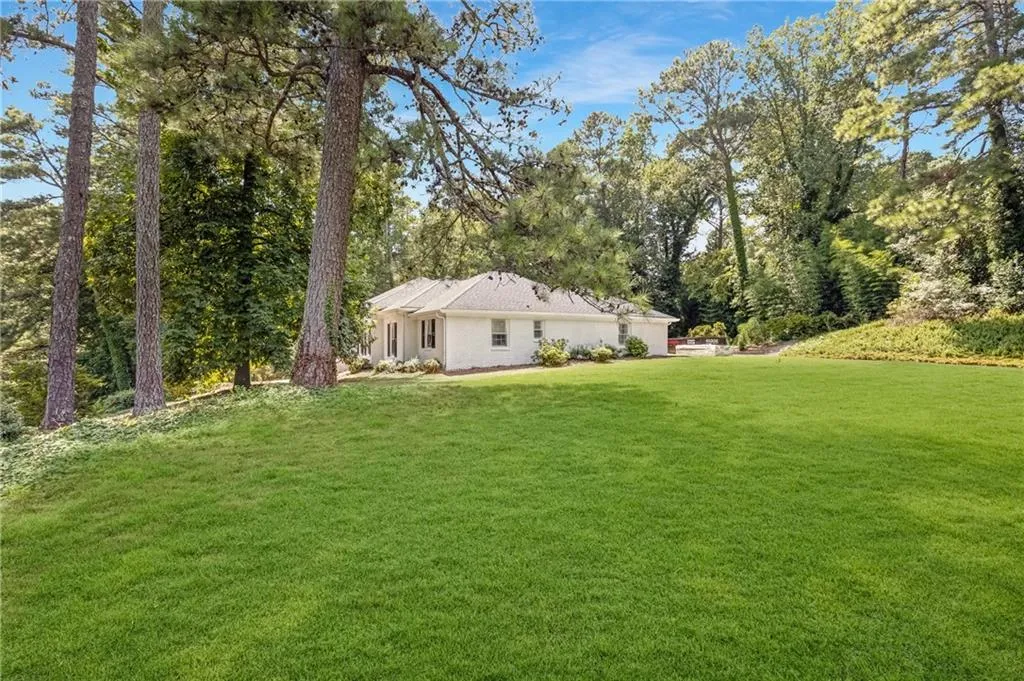 View of grassy yard