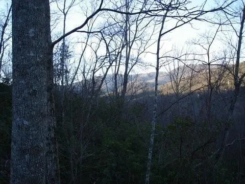 View of mountain background featuring a heavily wooded area