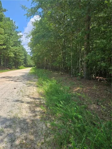 Wooded lot featuring mature trees and a natural, unpaved road