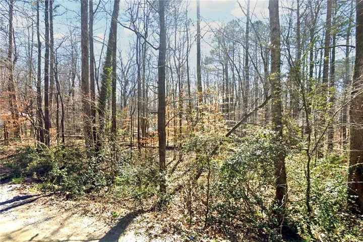 View From Road