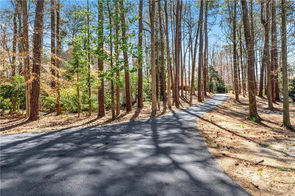 View of road with a forest view
