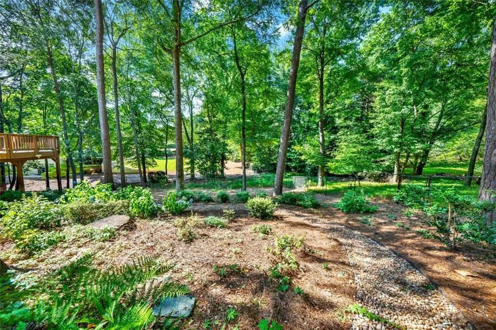 View of local wilderness