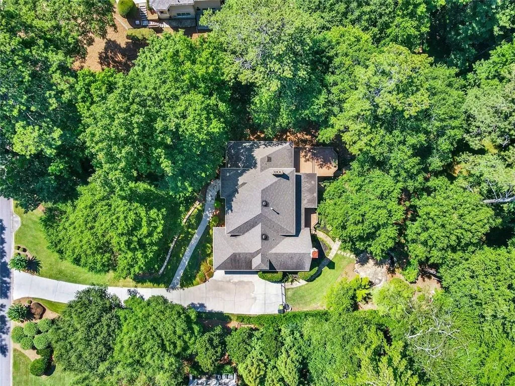 View of bird's eye view