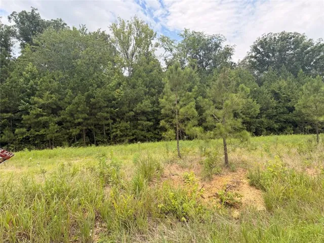 Lot 58 County Road 32, Piedmont, Alabama 36272