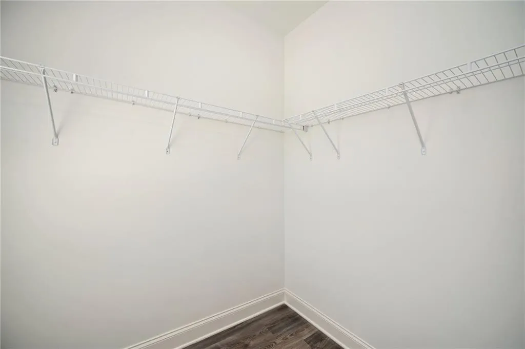 Spacious closet with dark wood finished floors