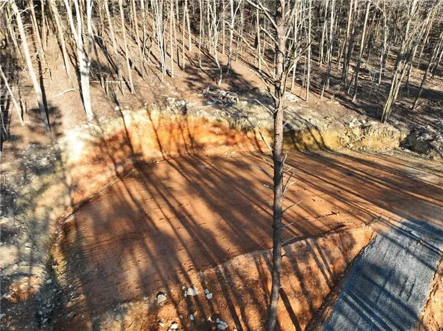 Lot and Driveway